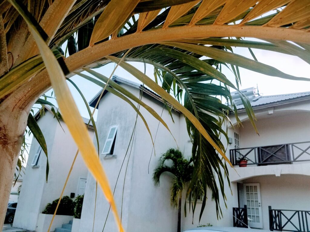 Nearby Dover Beach
