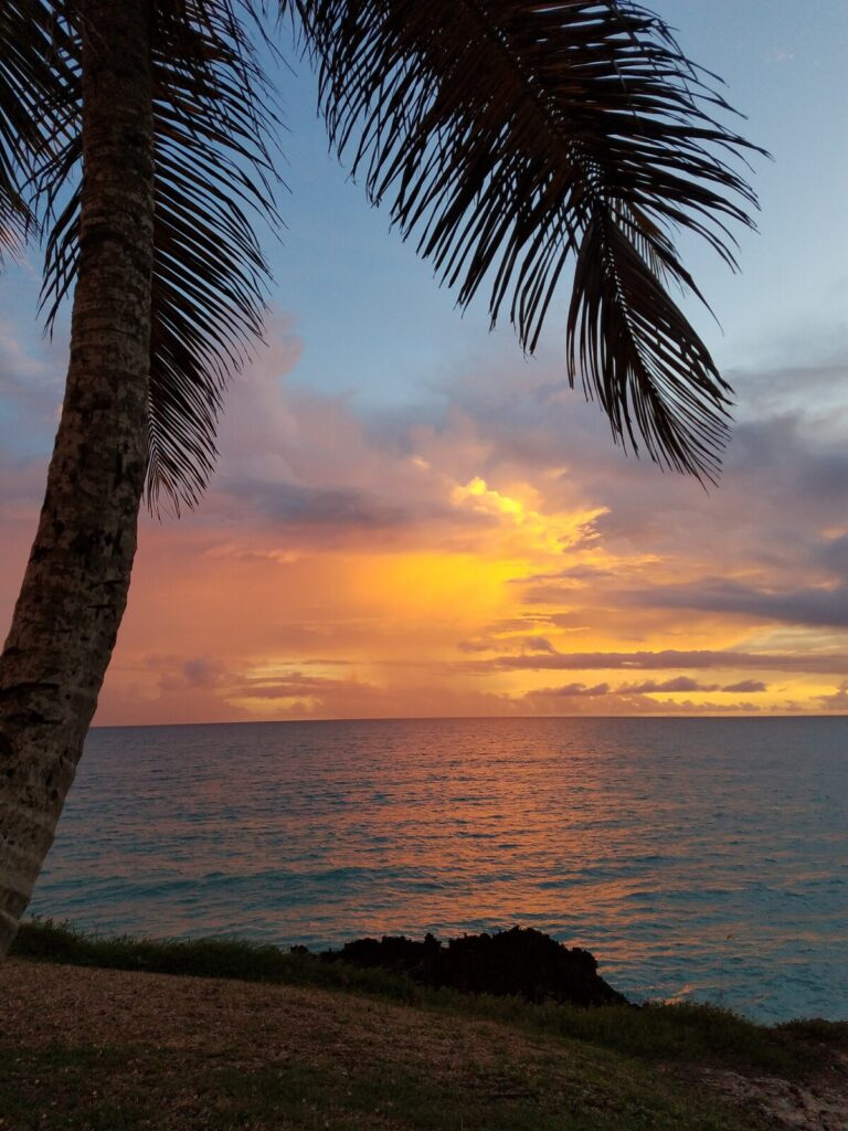 Nearby Dover Beach